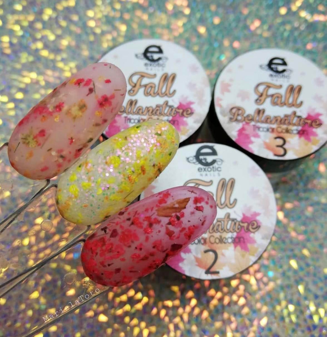 Acrílico Colección 3pz Exotic Nails Fall Nature